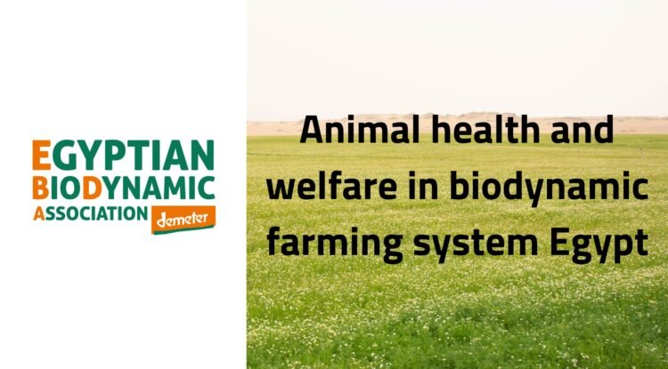 Animal health and welfare in biodynamic farming system